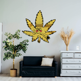 Cannabis